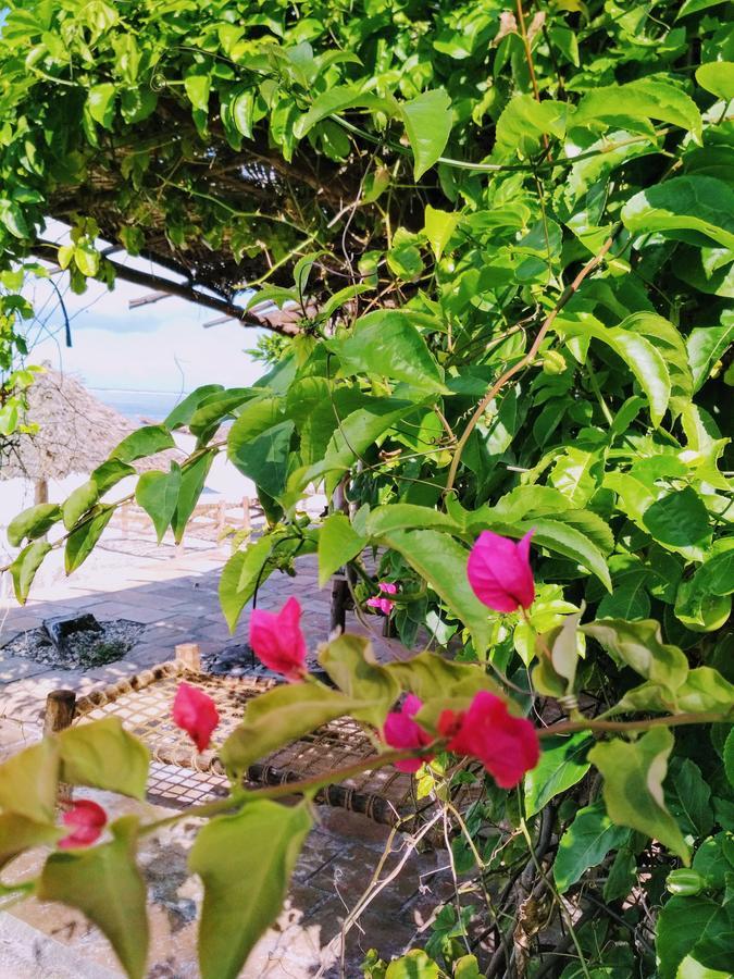 מאטמווה Panga Chumvi Beach Resort מראה חיצוני תמונה